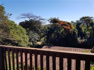 2 Bed Apartment in Umzumbe