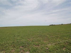 36.5 ha Farm in Bathurst and Surrounds