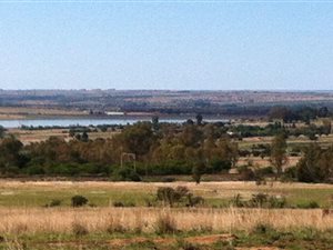 300 ha Farm in Kroonstad