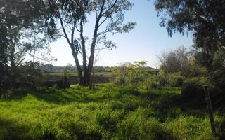 17 ha Farm in Honingnestkrans