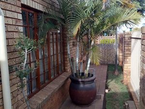 3 Bed House in Theresa Park