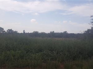 5.2 ha Land available in Donkerhoek
