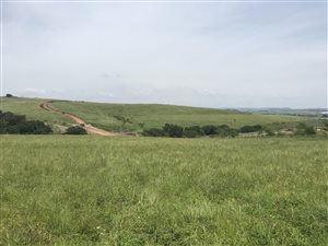 4810 m² Land available in Springvale Country Estate
