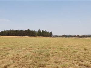 34.2 ha Land available in Grootfontein Estate