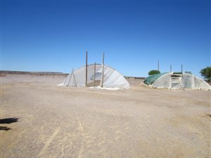884 ha Farm in Ceres