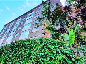 1 Bed Apartment in Green Point