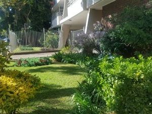 2 Bed Apartment in Arcadia