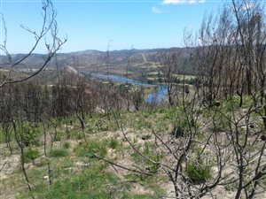 5445 m² Land available in Simola