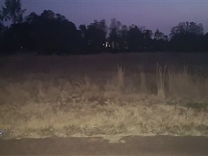 991 m² Land available in Ohenimuri