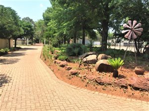 45 ha Farm in Middelburg Central