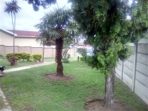 3 Bedroom House in Cambridge West