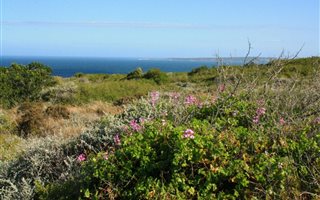 3027 m² Land available in Nautilus Bay