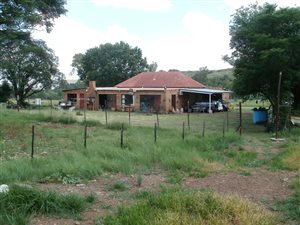 11 ha Farm in Onverwacht
