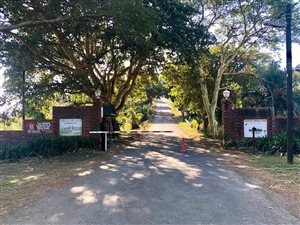 8 Bed House in Mount Moreland