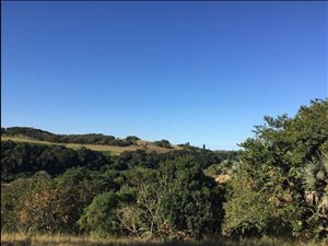 846 m² Land available in Shelly Beach