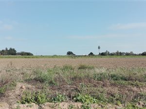 Commercial space in Olifantsfontein