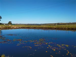52 ha Farm in Heatherlands