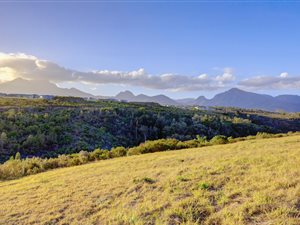 1095 m² Land available in Welgelegen Estate