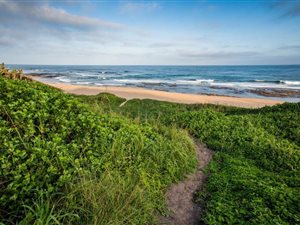 1390 m² Land available in Seaton Estate