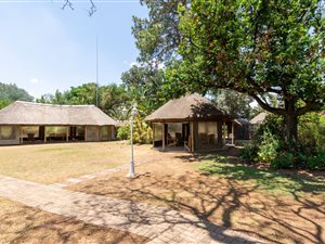 8.5 ha Farm in Honeydew