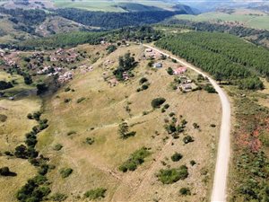11 ha Farm in Ndwedwe