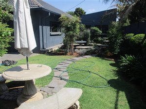 Office space in Hurlyvale