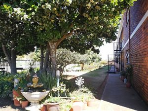 1 Bed Apartment in Horison