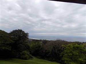 2.5 ha Farm in Hibberdene