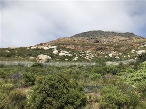 699 m² Land available in Murdock Valley