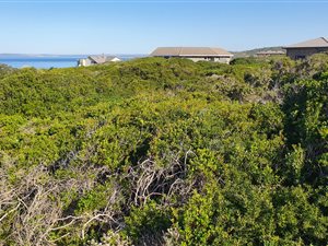 1040 m² Land available in Dana Bay