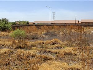 1008 m² Land available in Riversdale