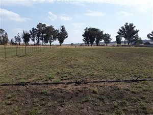 9914 m² Farm in De Deur