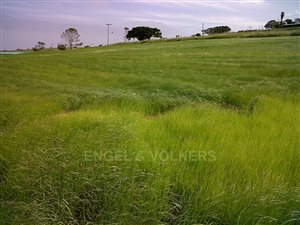 37 ha Farm in Kwelera