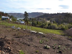 831 m² Land available in Kanonkop