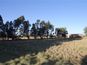 4.3 ha Land available in Bethlehem Central