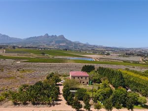 4 ha Farm in Raithby