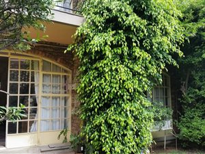 3 Bed Townhouse in Bruma
