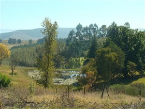2136 m² Land available in Underberg