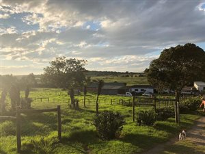 4.9 ha Smallholding in Alexandria