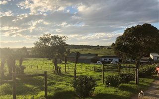 4.9 ha Smallholding in Alexandria