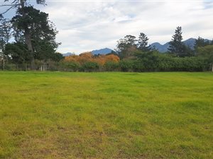 1318 m² Land available in King George Park