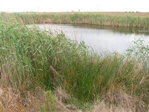 10 ha Land available in Mooiplaats AH
