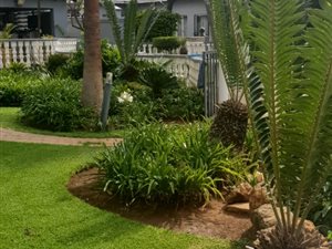 2 Bed Simplex in Roseville