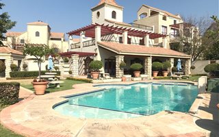 1 Bedroom Apartment in Morningside