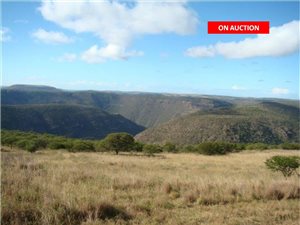 2516 ha Farm in Komga