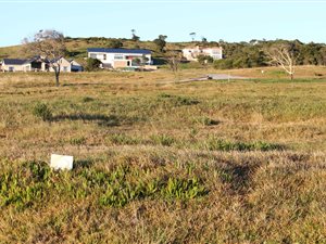 1475 m² Land available in Royalston Coastal Wildlife Estate