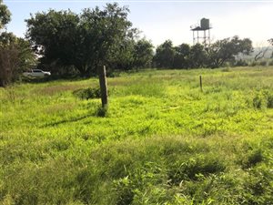 3 m² Farm in Fochville