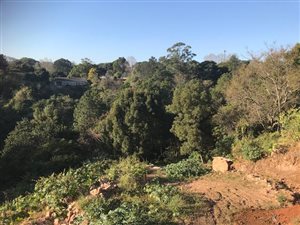 5191 m² Land available in Gillitts