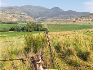 268 ha Farm in Bethlehem