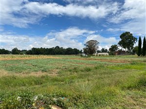 3 ha Farm in Nestpark AH